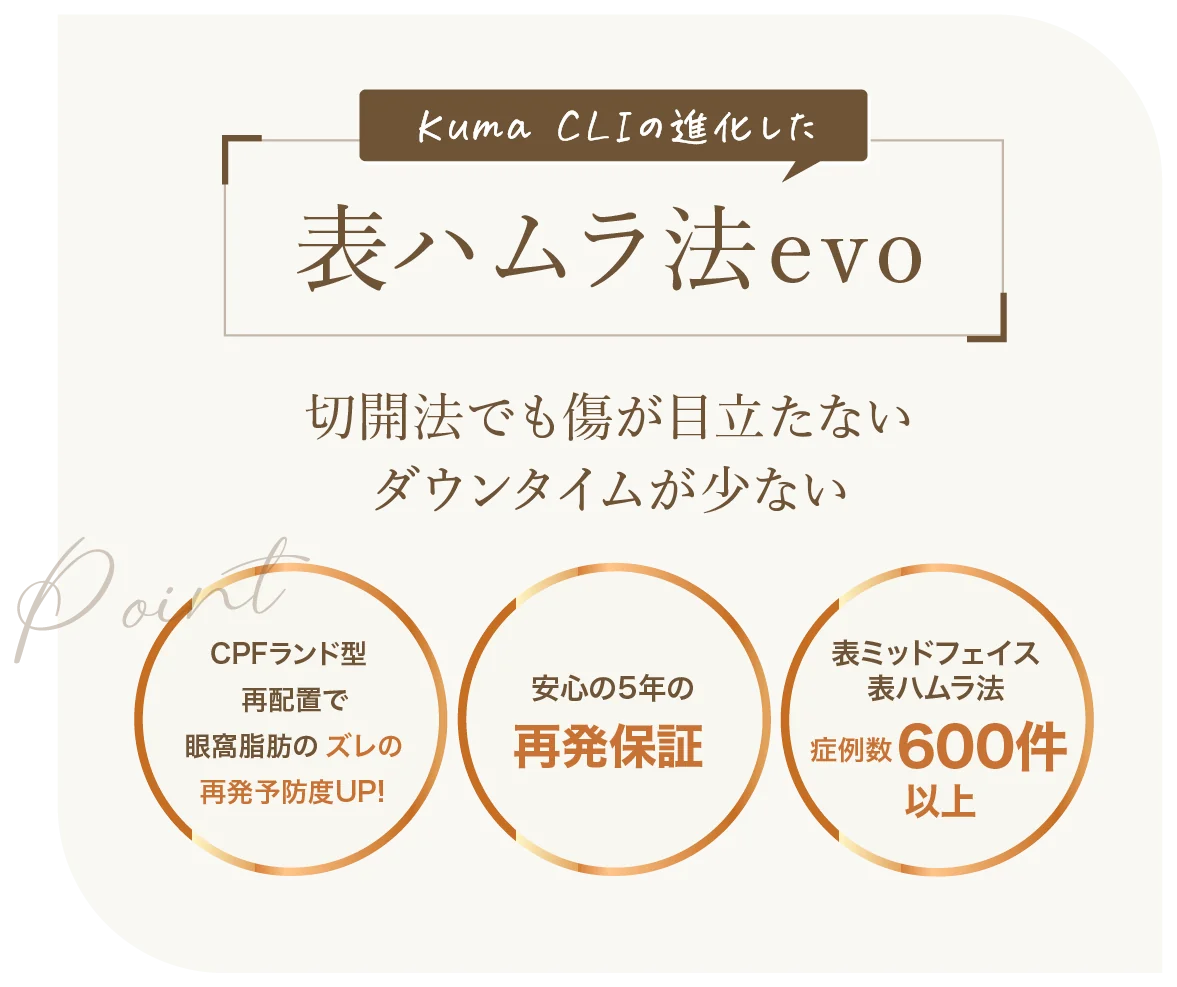 表ハムラ法（切開）
