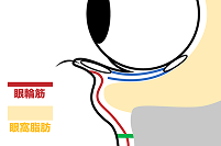 施術の流れ