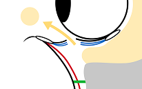 施術の流れ