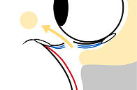 施術の流れ