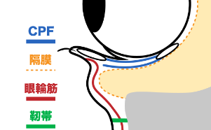 デザイン＆治療の流れを説明