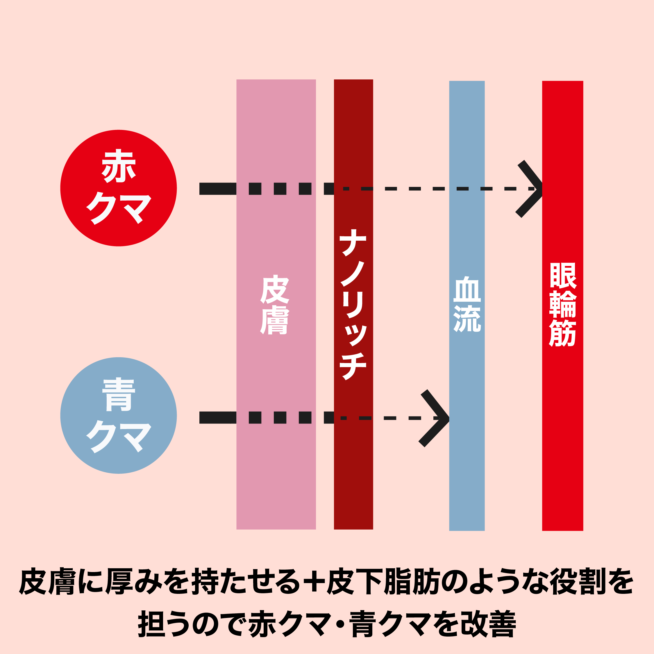 ナノリッチについて