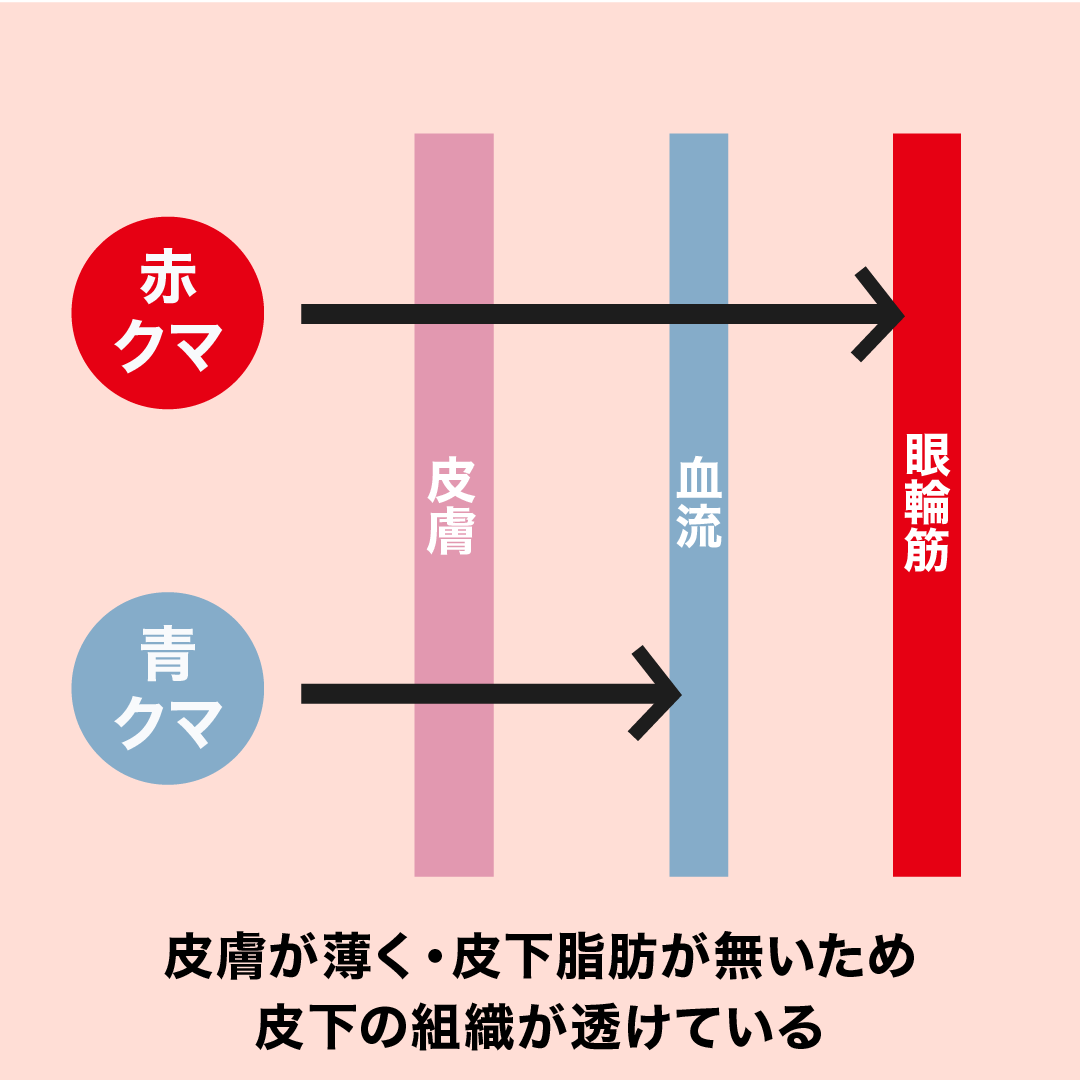 ナノリッチについて